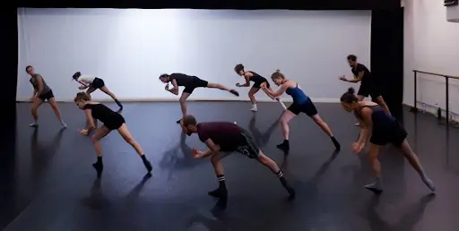 Compagnie Hallet Eghayan et Artistes Associés
