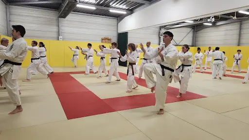 Budo et Karaté d'Okinawa