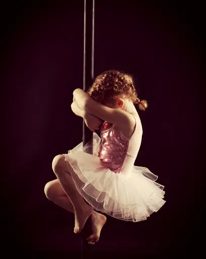 Flying Harmony Pole Dance 04