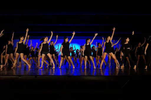 Mansle Danse