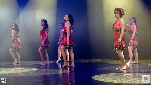 Raqs Seni Danse Orientale Valenciennois