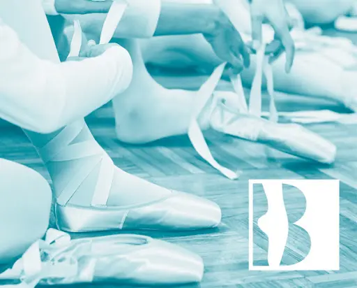 Ballerines de Marly