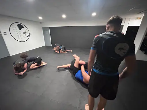 Alex Défense Boxing