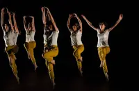 Ecole de Danse D12