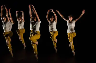 Ecole de Danse D12