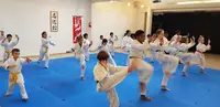Kobayashi Dojo