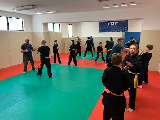 Viet Vo Dao Marsillargues – École Thuy Heu Vo Duong