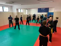 Viet Vo Dao Marsillargues – École Thuy Heu Vo Duong