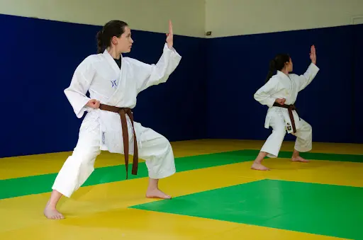 Karate Entente Sportive Massy