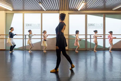 Cocorpsdanse