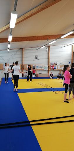 Judo Taïso Club Mazé