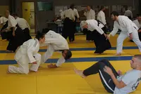 Aïkido Metz - Arènes/gare - Wakamatsu Dojo