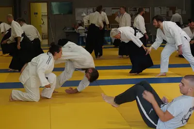 Aïkido Metz - Arènes/gare - Wakamatsu Dojo