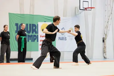 Kungfu, Taichi et Qigong - École Tigre et Dragon – Arts Martiaux Chinois (mézidon)