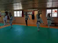 Som Taekwondo