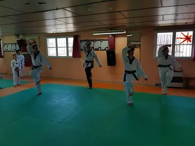 Som Taekwondo