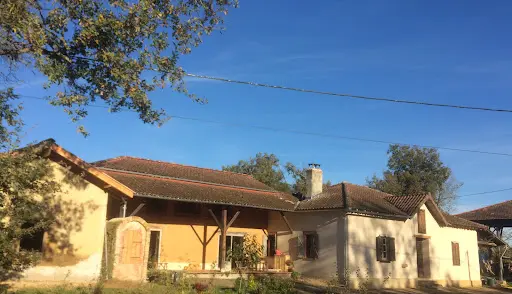 Hervé Baron - Ecole du Langage Musical