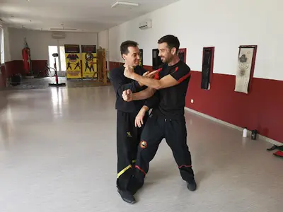 Académie du Wing Tsun Evolution , Académie d'Arts Martiaux et du Mouvement