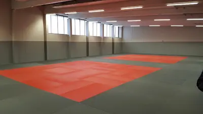 Judo et Disciplines Associées de Montesson