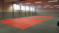 Judo et Disciplines Associées de Montesson