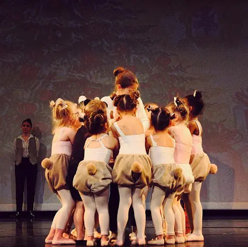 Studio de la Danse