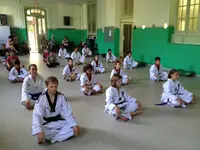 Académie Do Contact Taekwondo Mma