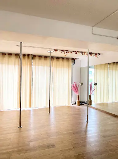 Pole Dance Mougins By Justine