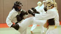 Nippon Kempo Shobukai