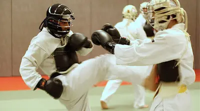 Nippon Kempo Shobukai
