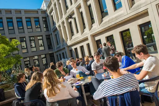 Audencia Bachelors