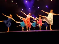 Entrechat Danse