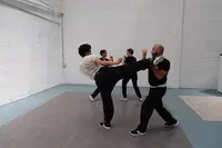 Le Sabre et le Rameau