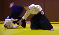 S.a.n (section d'Aikido Nantaise) Croissant - Aikido Nantes