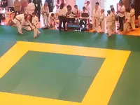 Comité de l'Aude de Judo