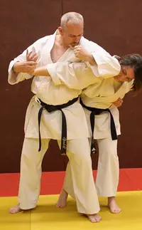 Taokoshi, Club de Taï-jitsu de Neuville-sur-saône