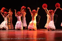 Flamenco Pasión