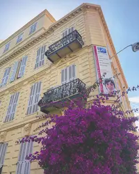 Ilec Nice Business School