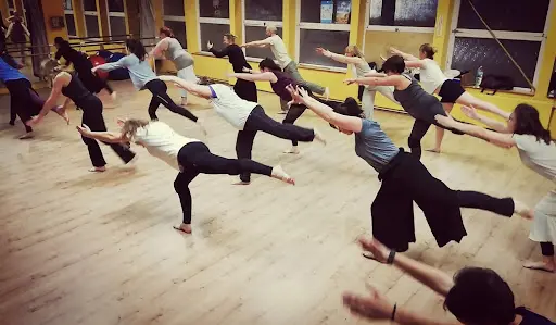 l'Oiseau-lyre, (éveil, Danse, Cirque Etc.)