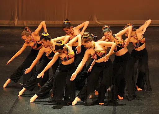 Emotion Danse