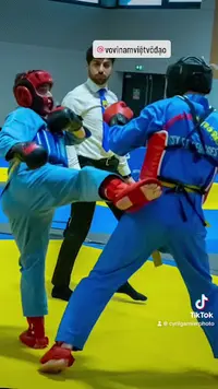 Van Hoa Vovinam Viêt-vo-dao