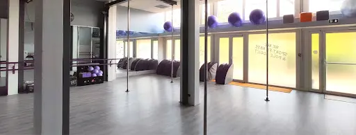 Atelier Pole Fitness et Disciplines Associées