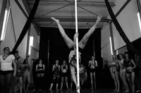 Fly N Dance