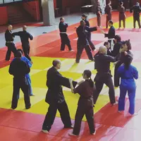 Vo Thuat Van Vo Dao Paris