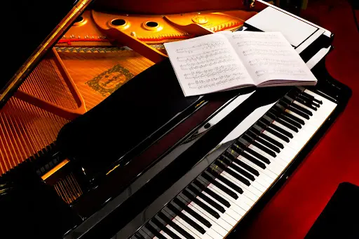 Ecole de Musique la Piana