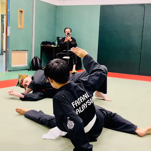 Coegf Section Silat