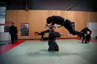 Dojo Ninja Paris, Ninjutsu