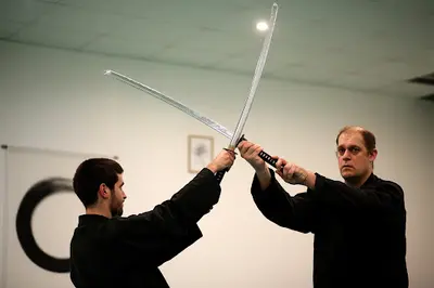 Ninjutsu Bujinkan Ile de France