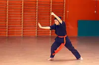 Kung-fu, Taichi et Qigong - École Tigre et Dragon – (paris 15)