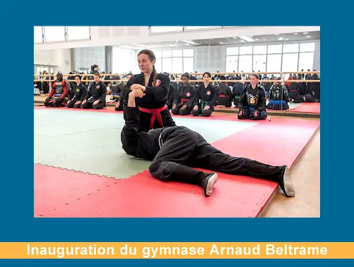 Nin-jutsu Paris (bujinkan Paris)