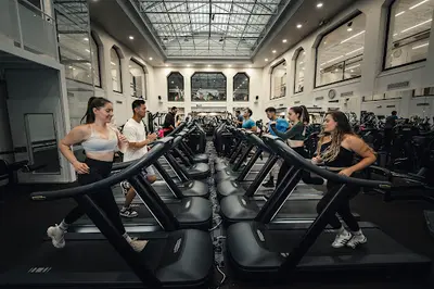 Salle de Sport Paris 15 - Cercles de la Forme Versailles